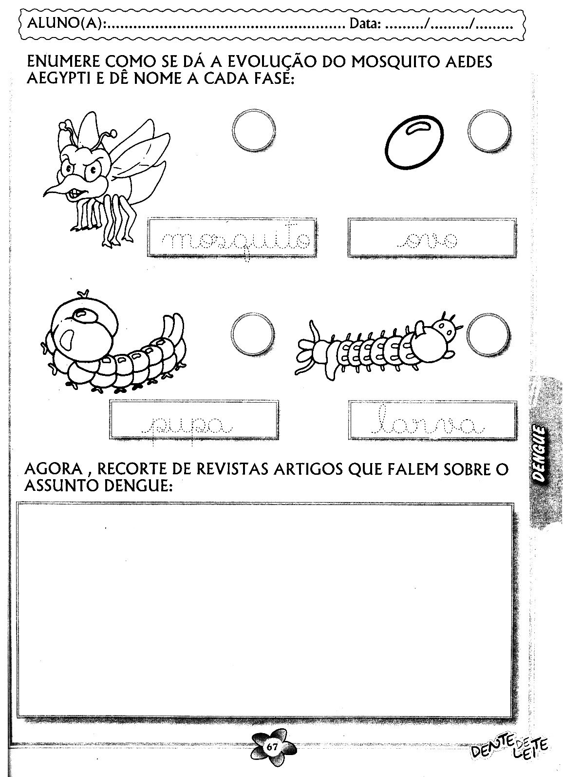 [67.JPG]