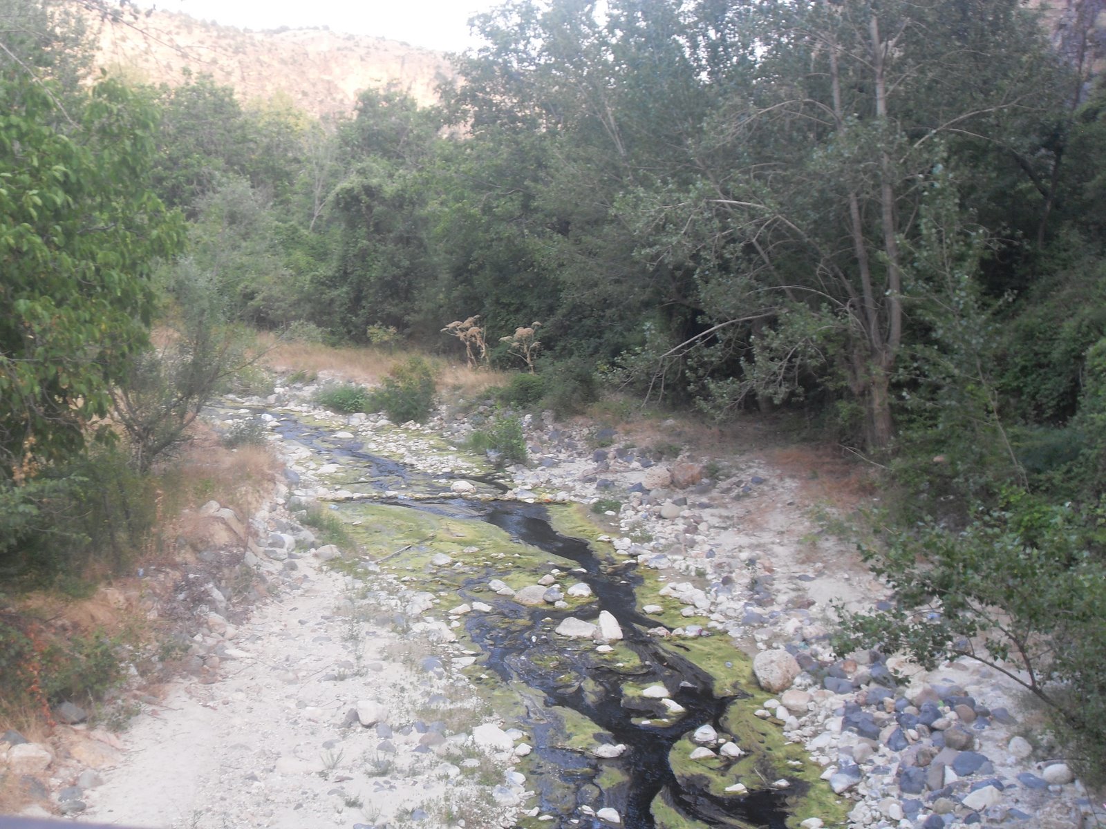[SDC11144.JPG]