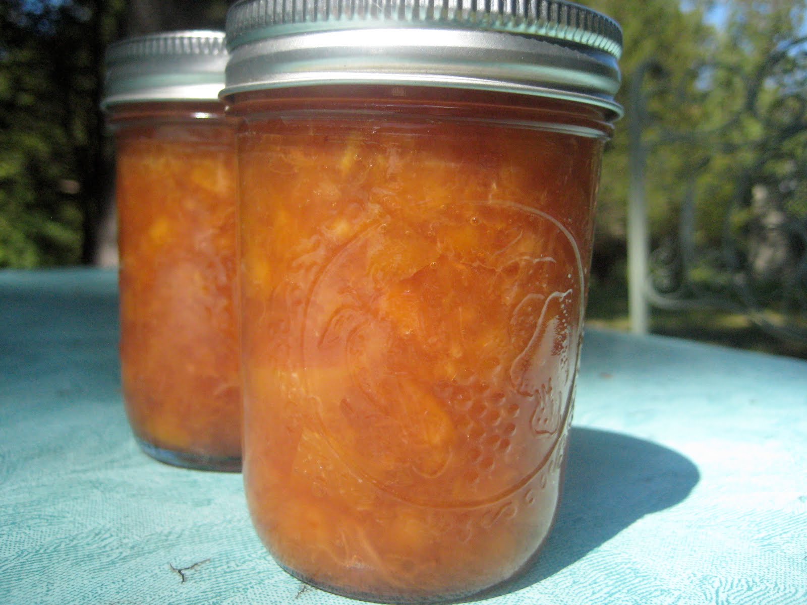 What Julia Ate September Tigress Can Jam Nectarine Jam