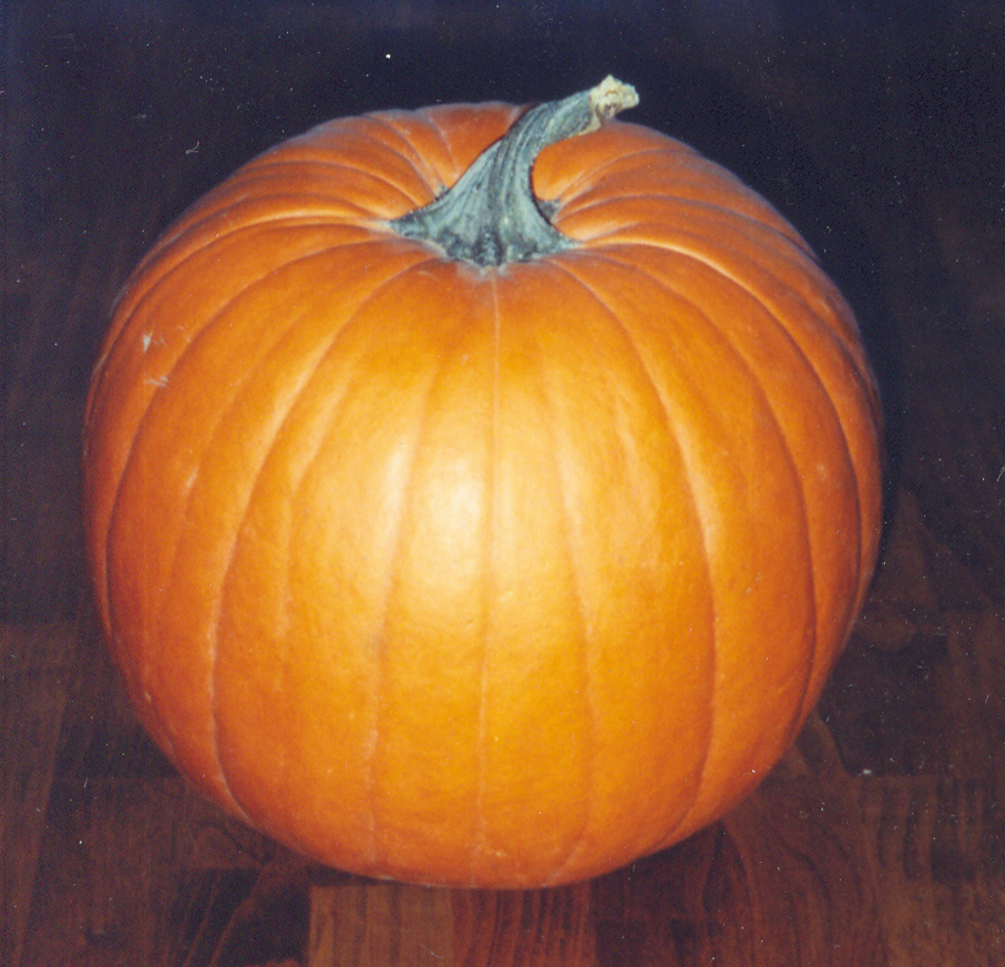 Photo Of Pumpkin