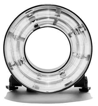 [00A8XN-20485784.jpg]