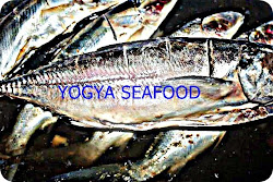 Yogya Sea Food