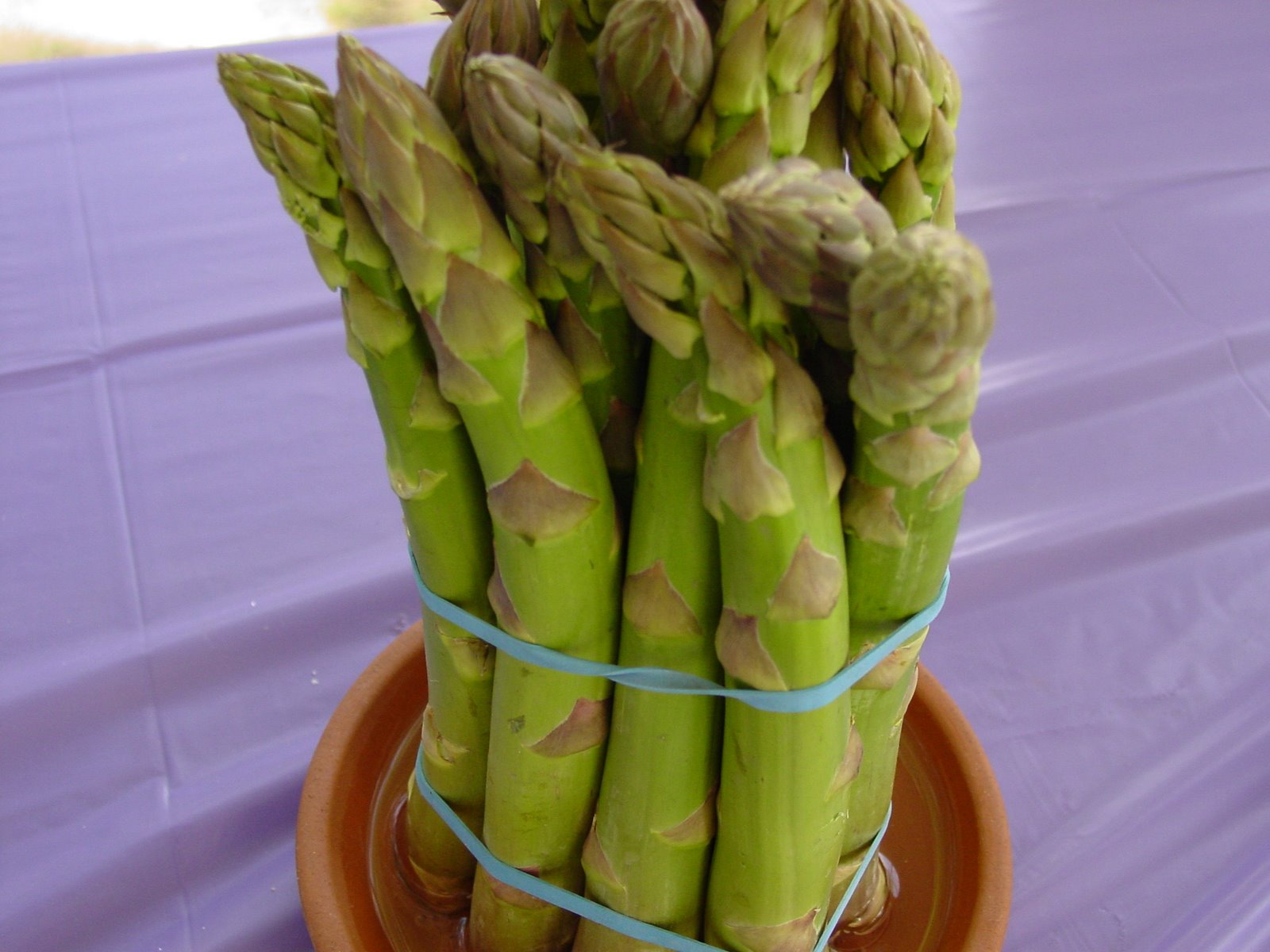 [DSC03423.JPG]