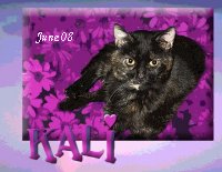 Kali