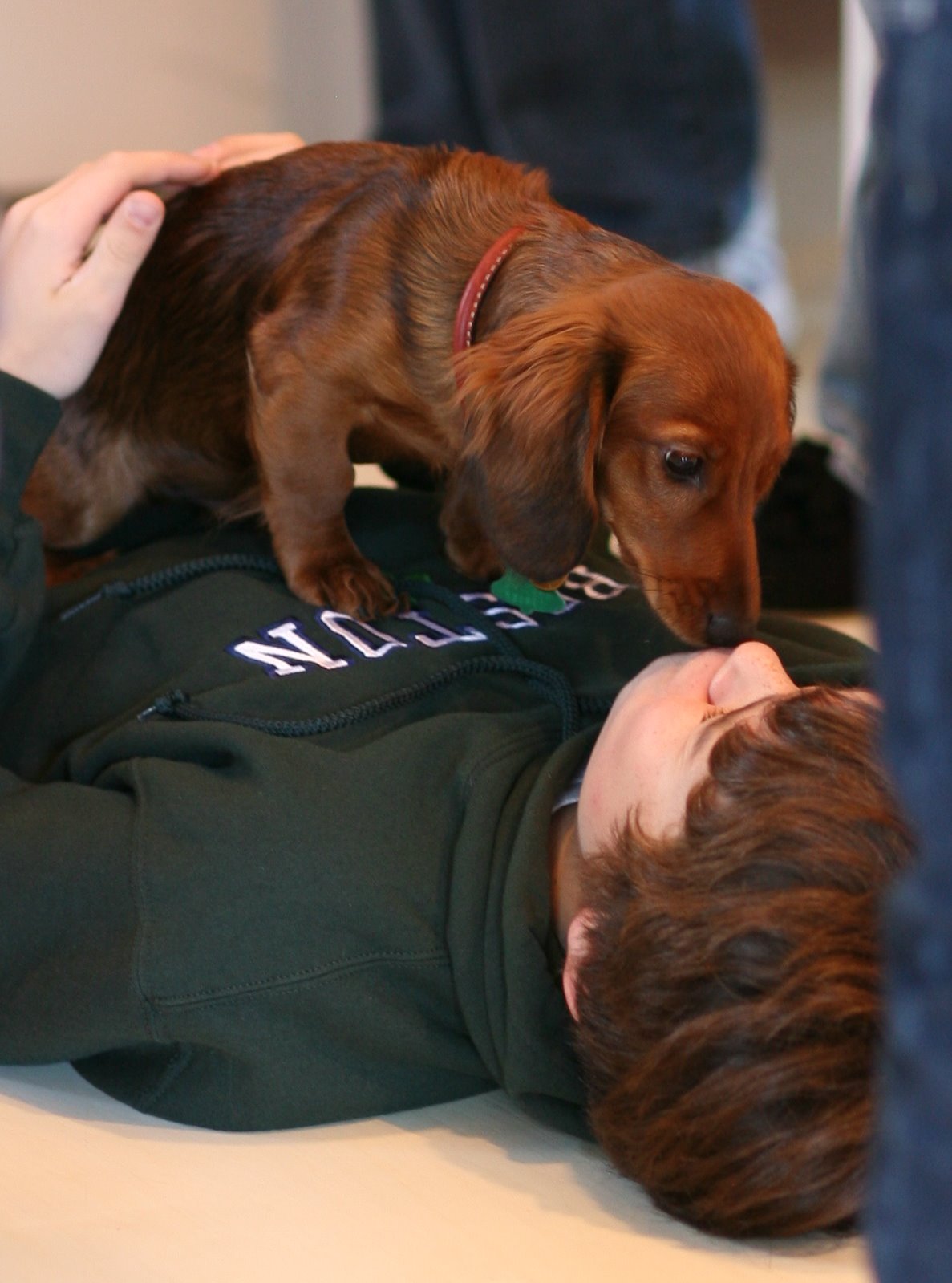 [2007-11-23+1055242.JPG]