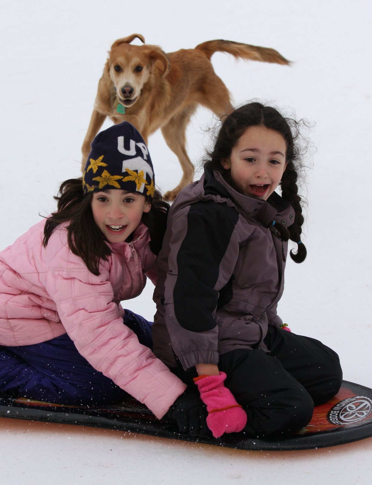 [2007-12-30+1312594.JPG]