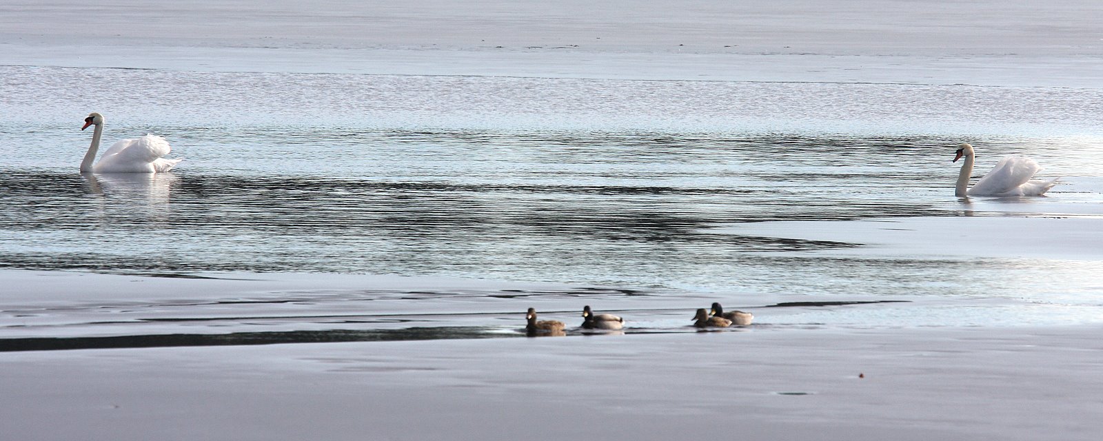 [2008-01-12+1335358.JPG]