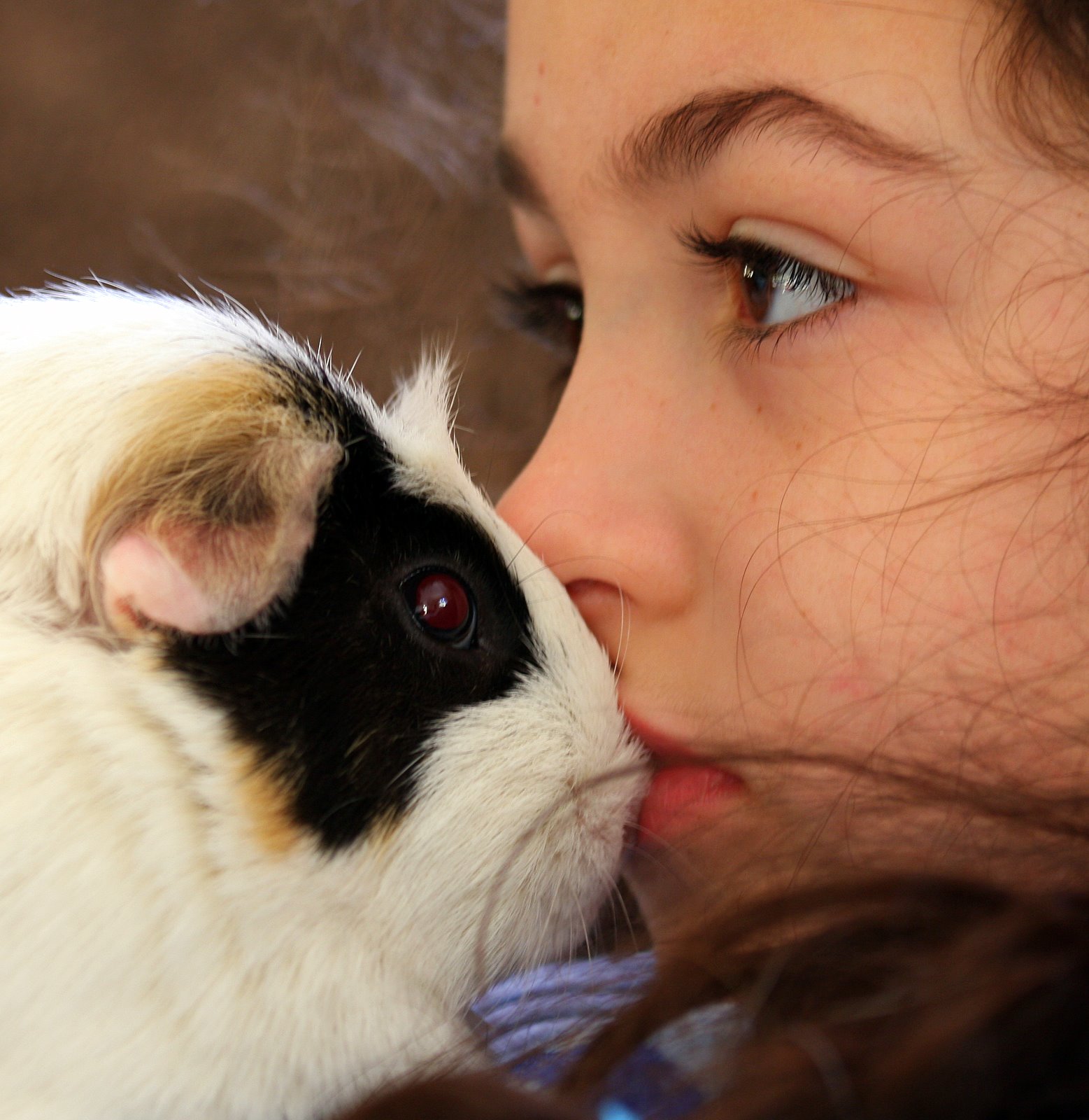 [2008-01-25+0803105.JPG]