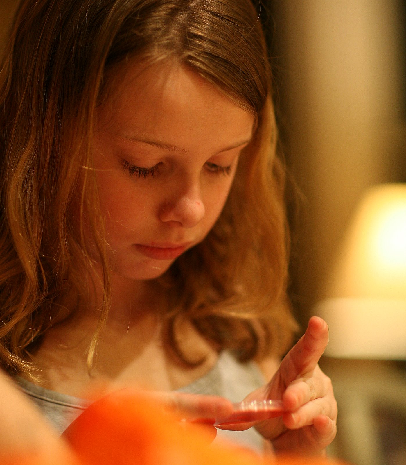 [2008-02-02+1923333.JPG]