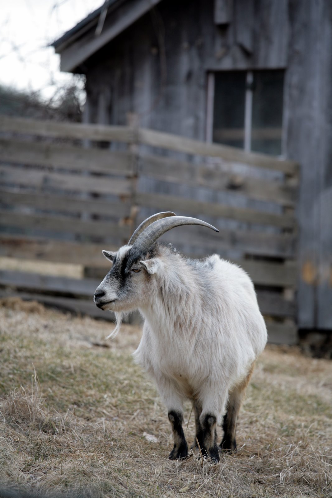 [2007-03-13+094017+0.JPG]