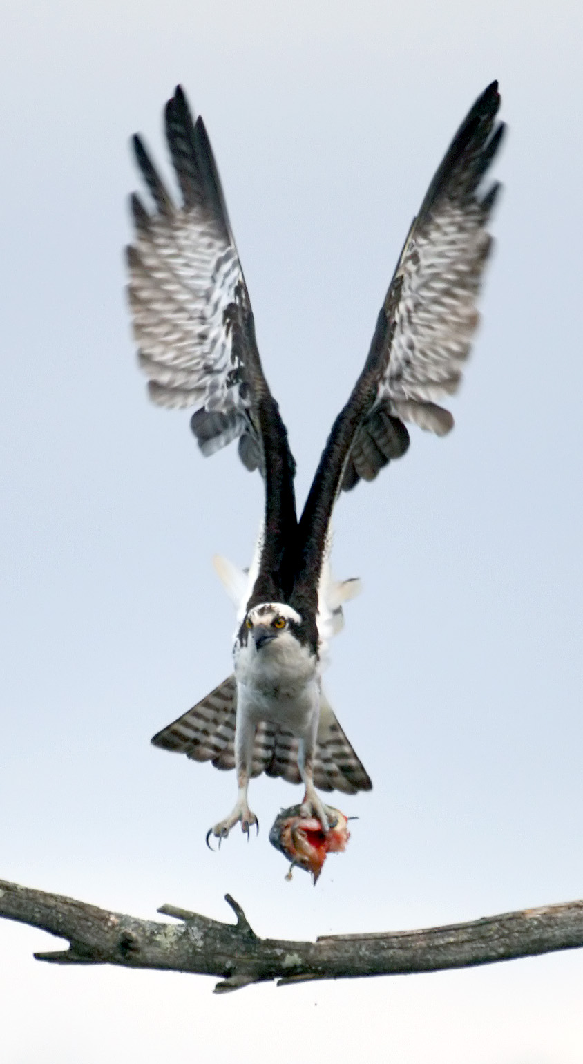 [2007-04-10+175755+0a.jpg]