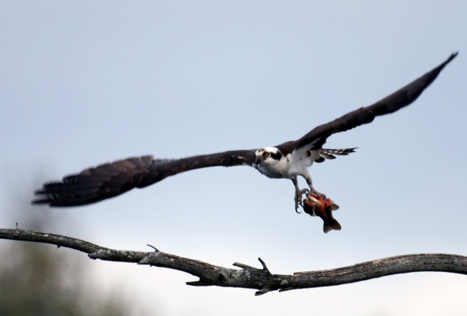 [2007-04-10+175755+1a.jpg]