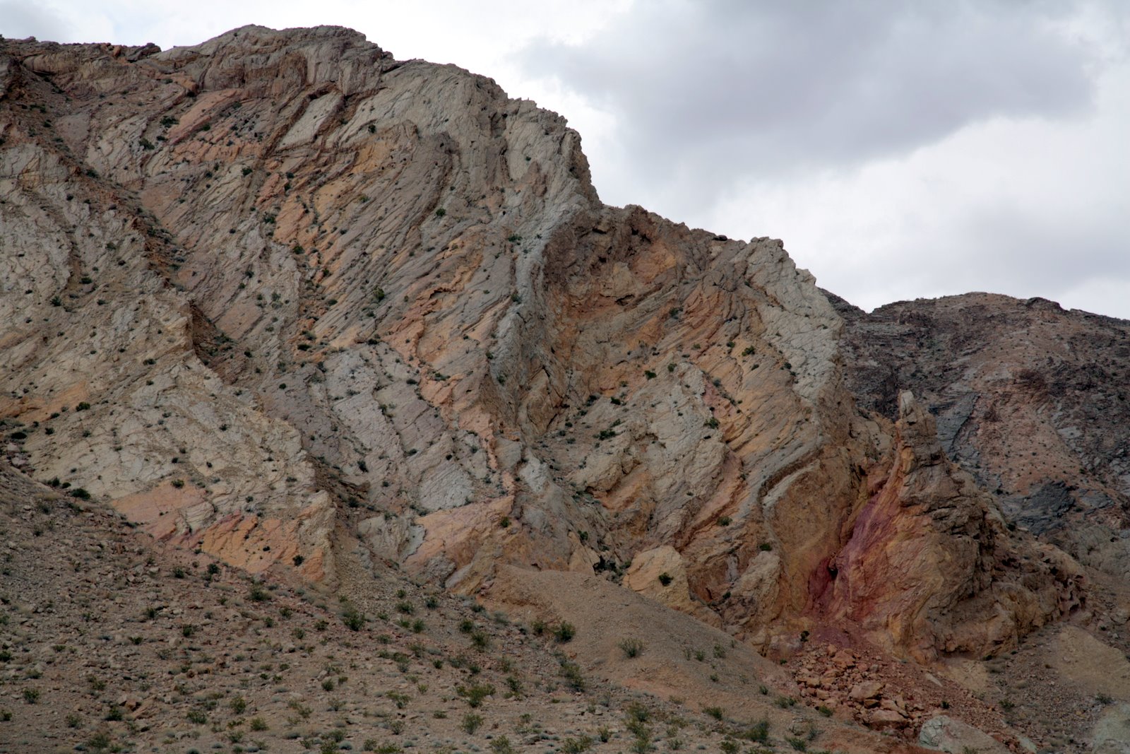 [2007-04-15+162142+3.JPG]