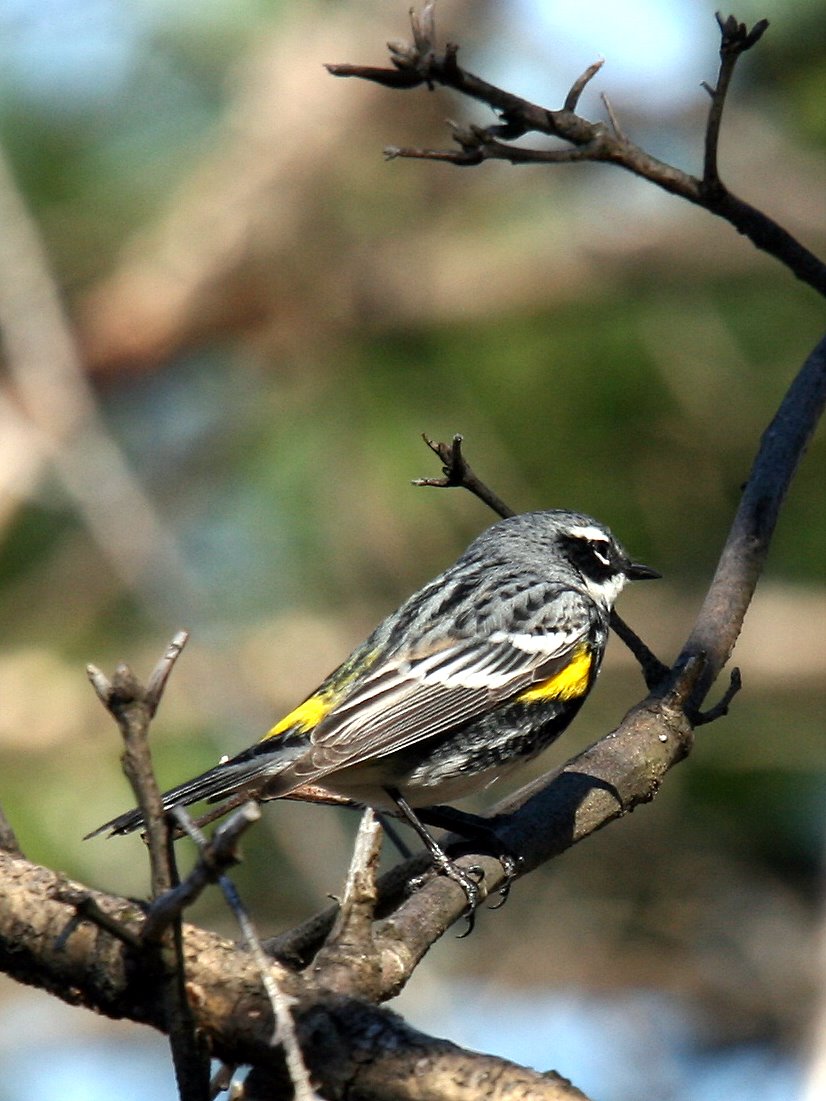 [2007-05-03+091124+3.JPG]