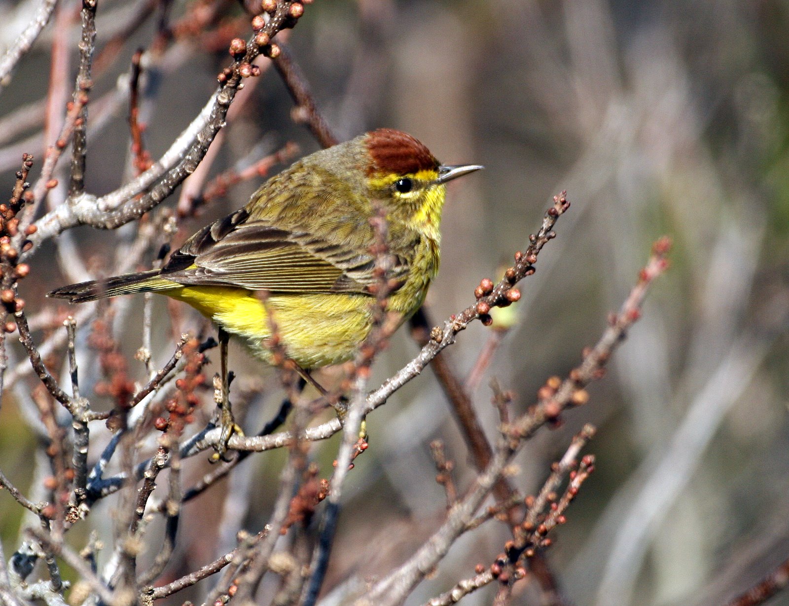 [2007-05-06+174135+0.JPG]