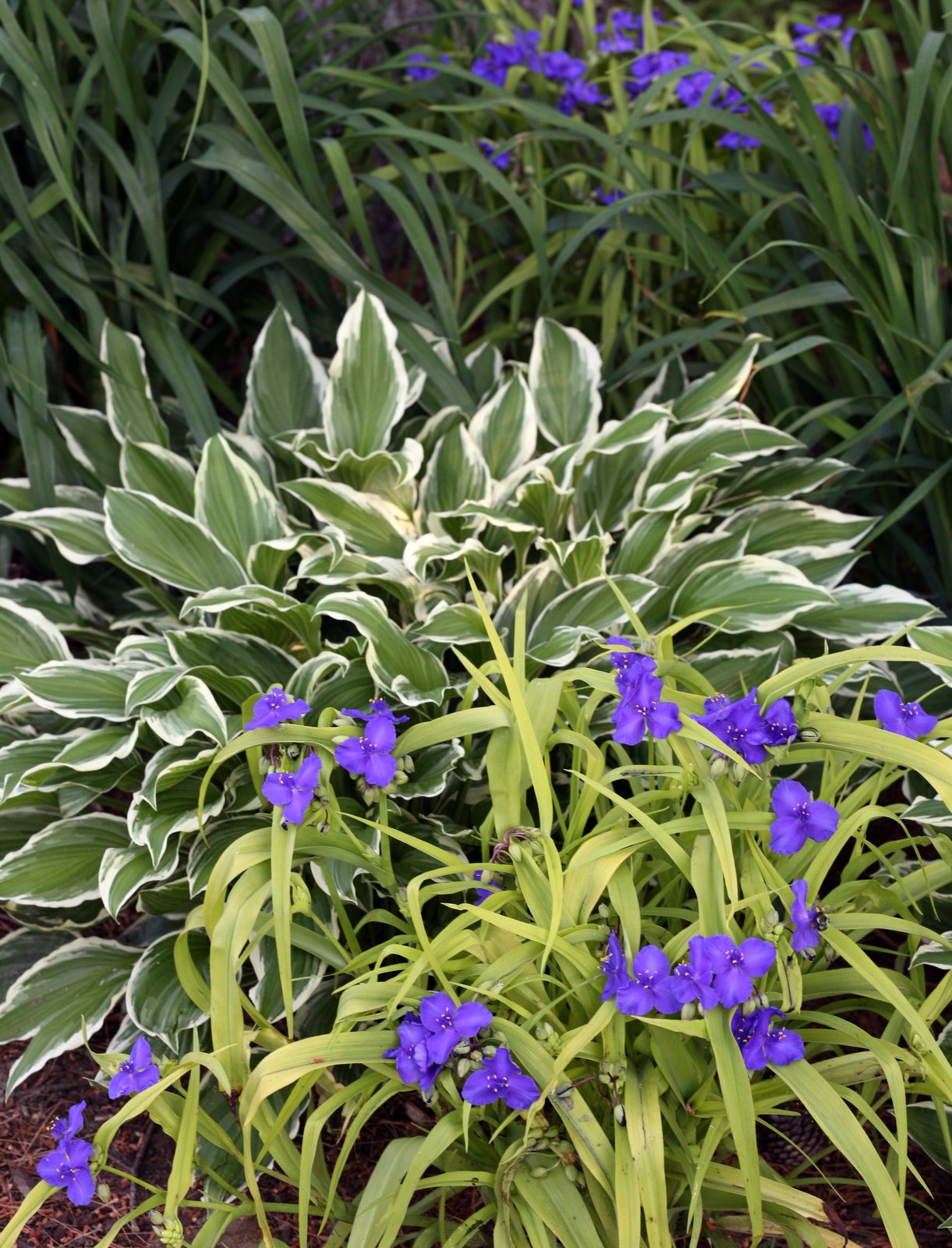 [2007-06-21+082619+6.JPG]