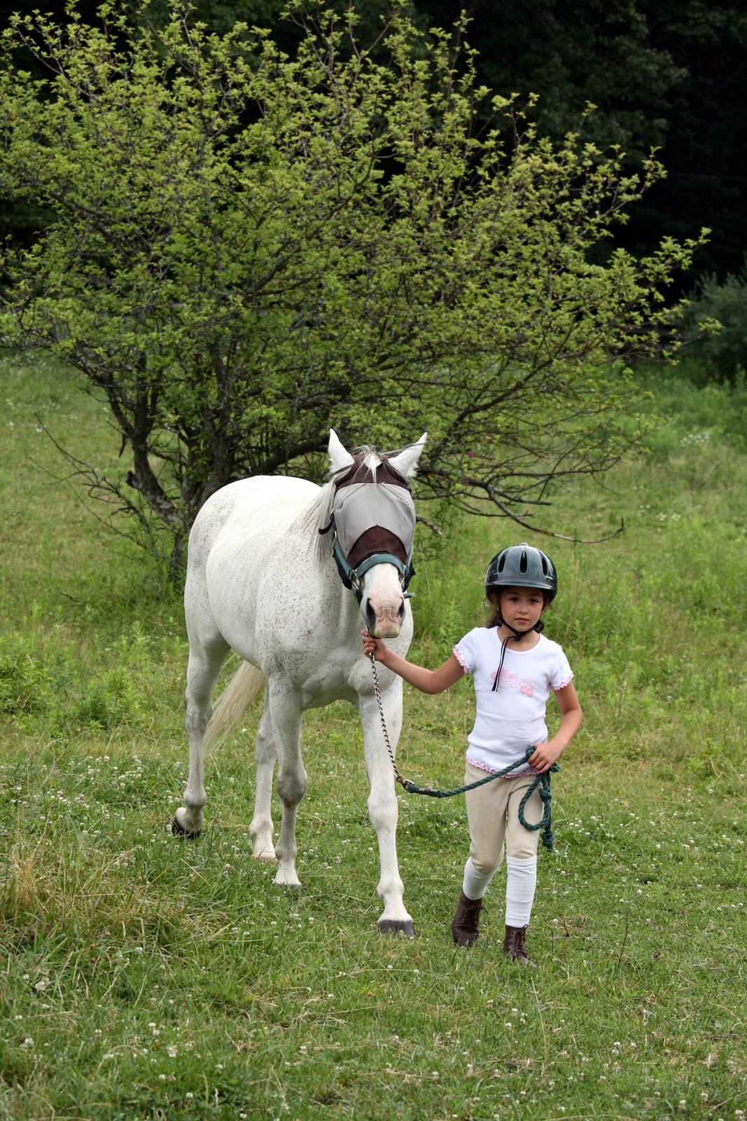 [2007-07-08+101534+7.JPG]