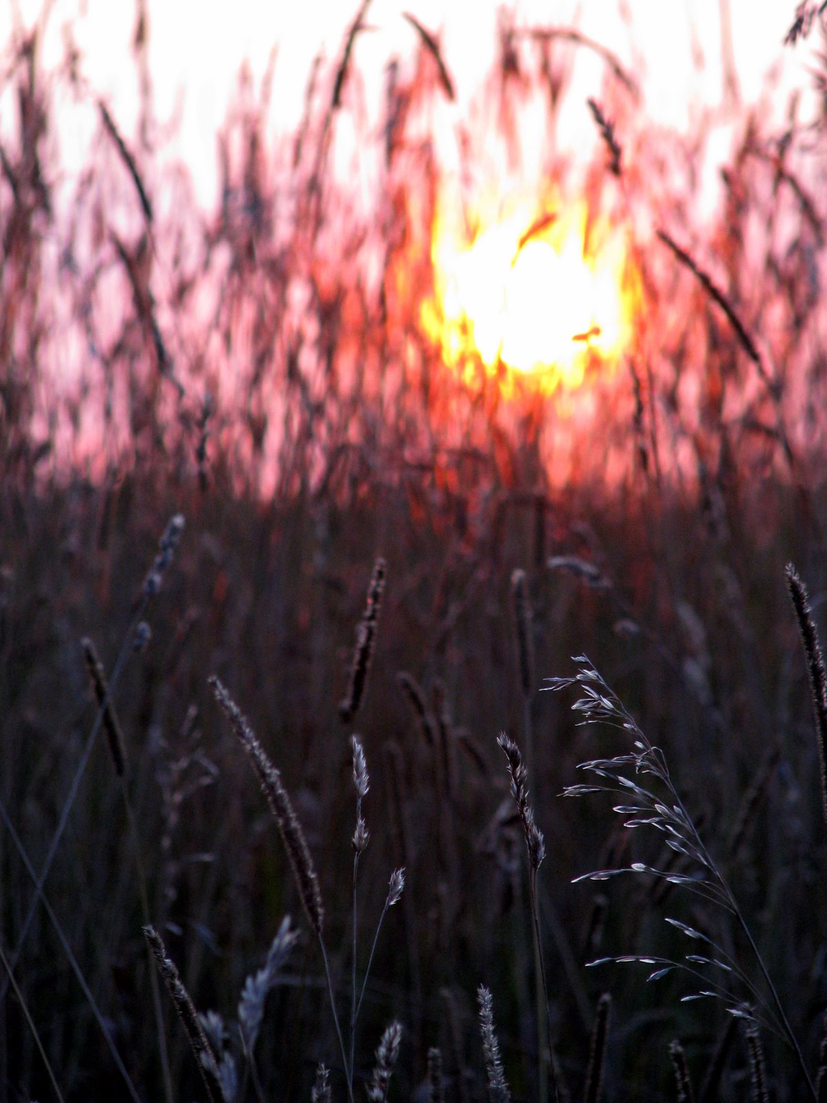 [2007-08-14+192759+2.JPG]