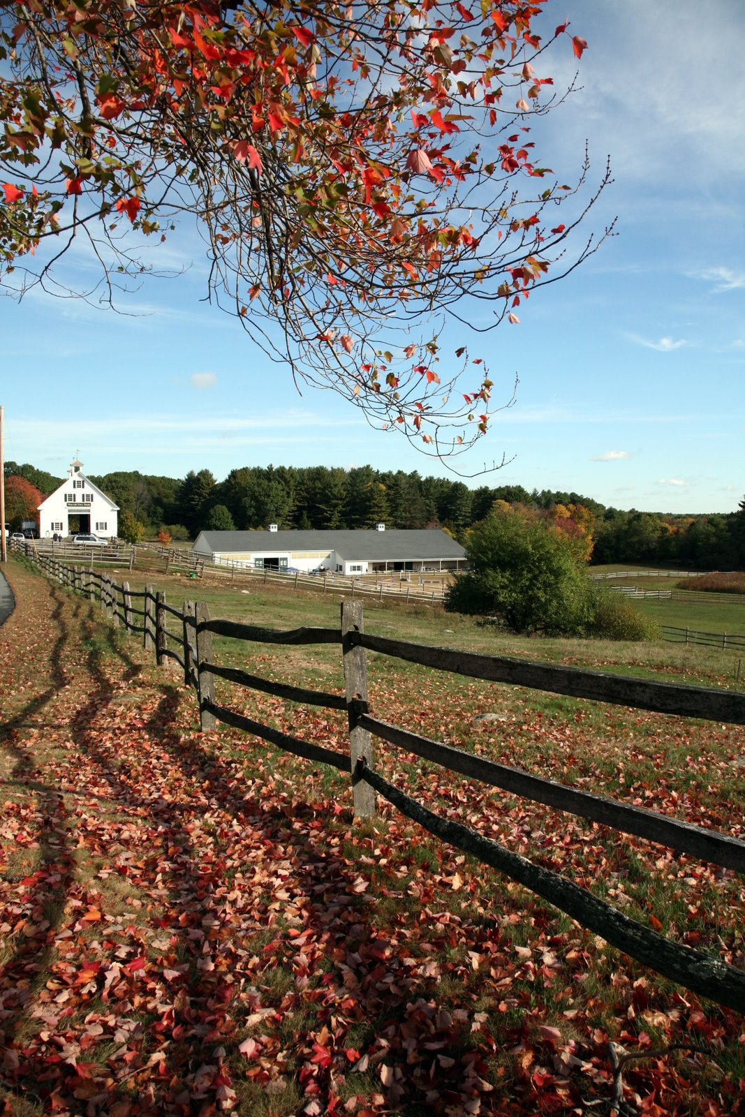 [2007-10-090935577.JPG]