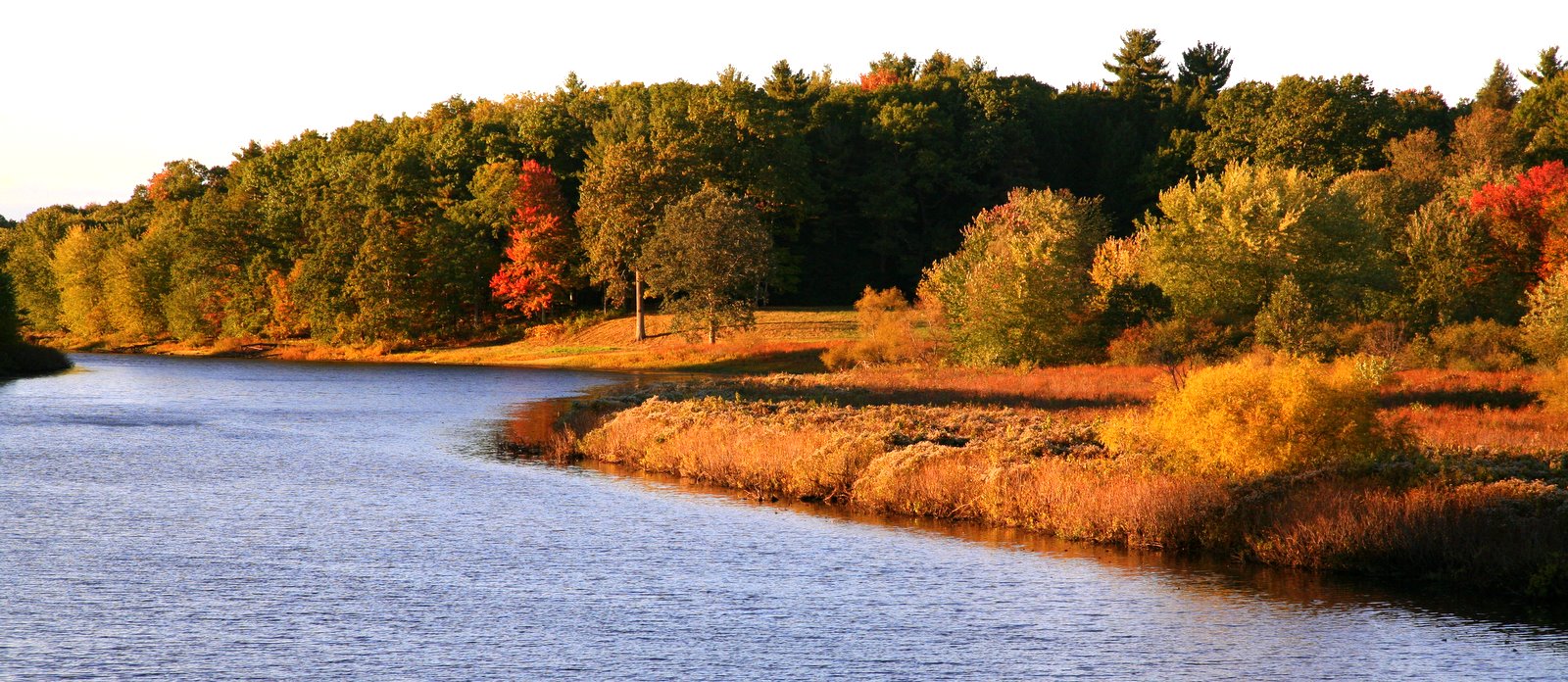 [2007-10-141720155.JPG]