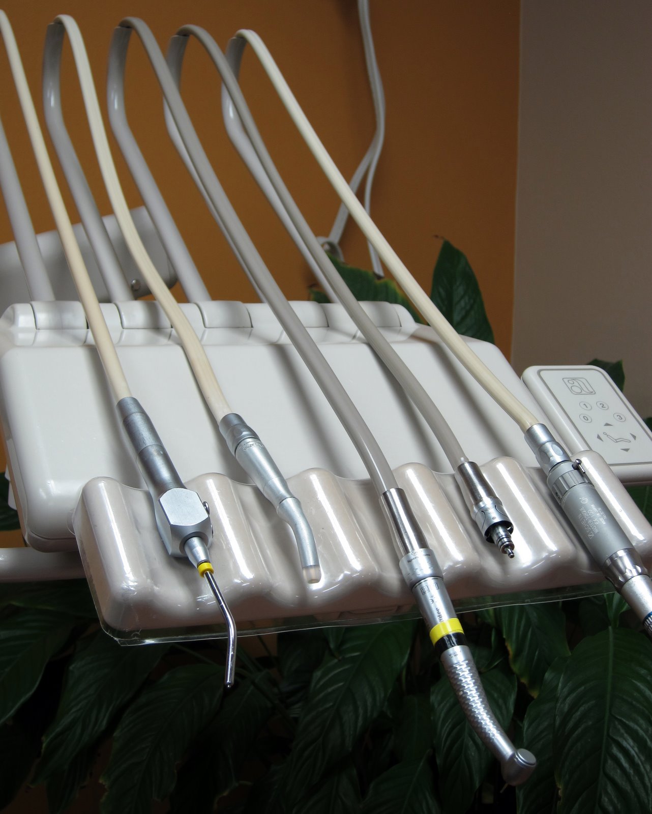 [2010-02-24+080200+098.JPG]