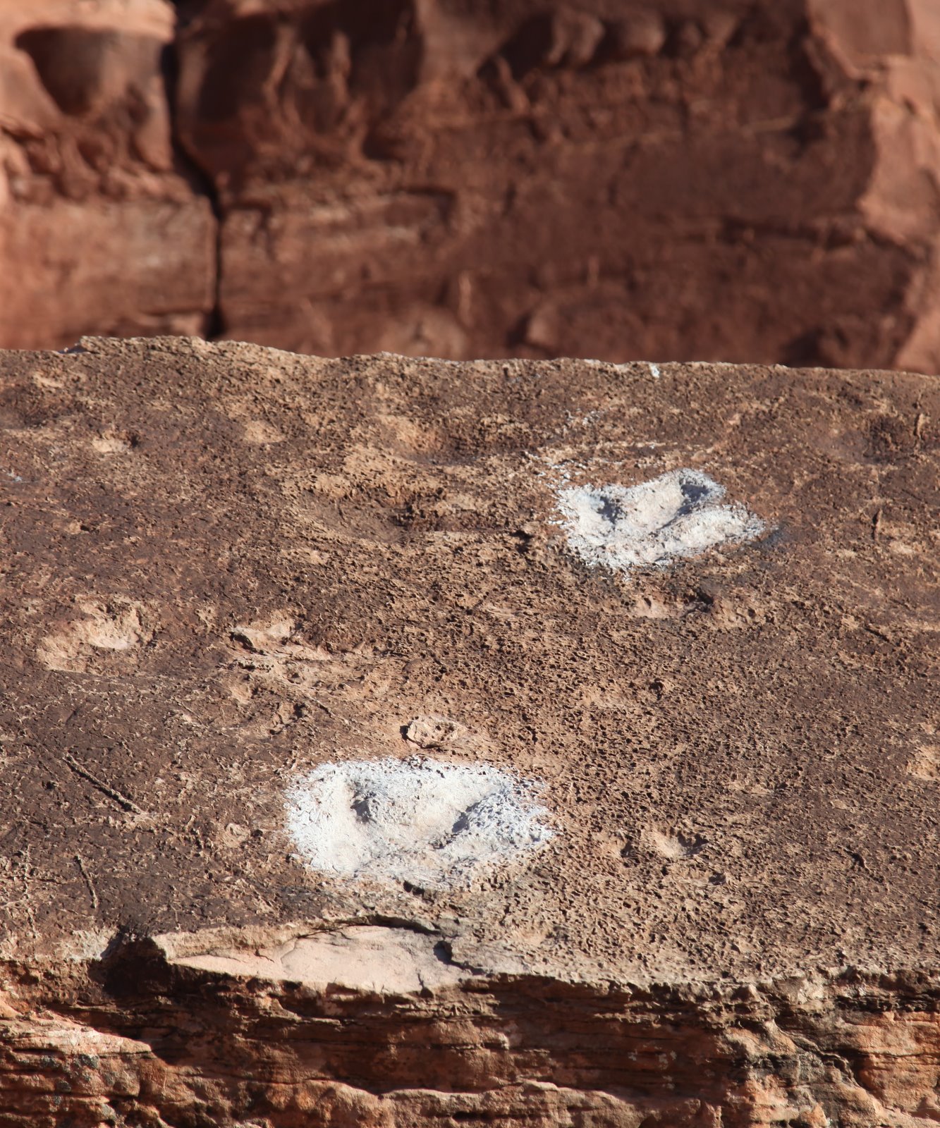 [2010-03-17+105556+171.JPG]