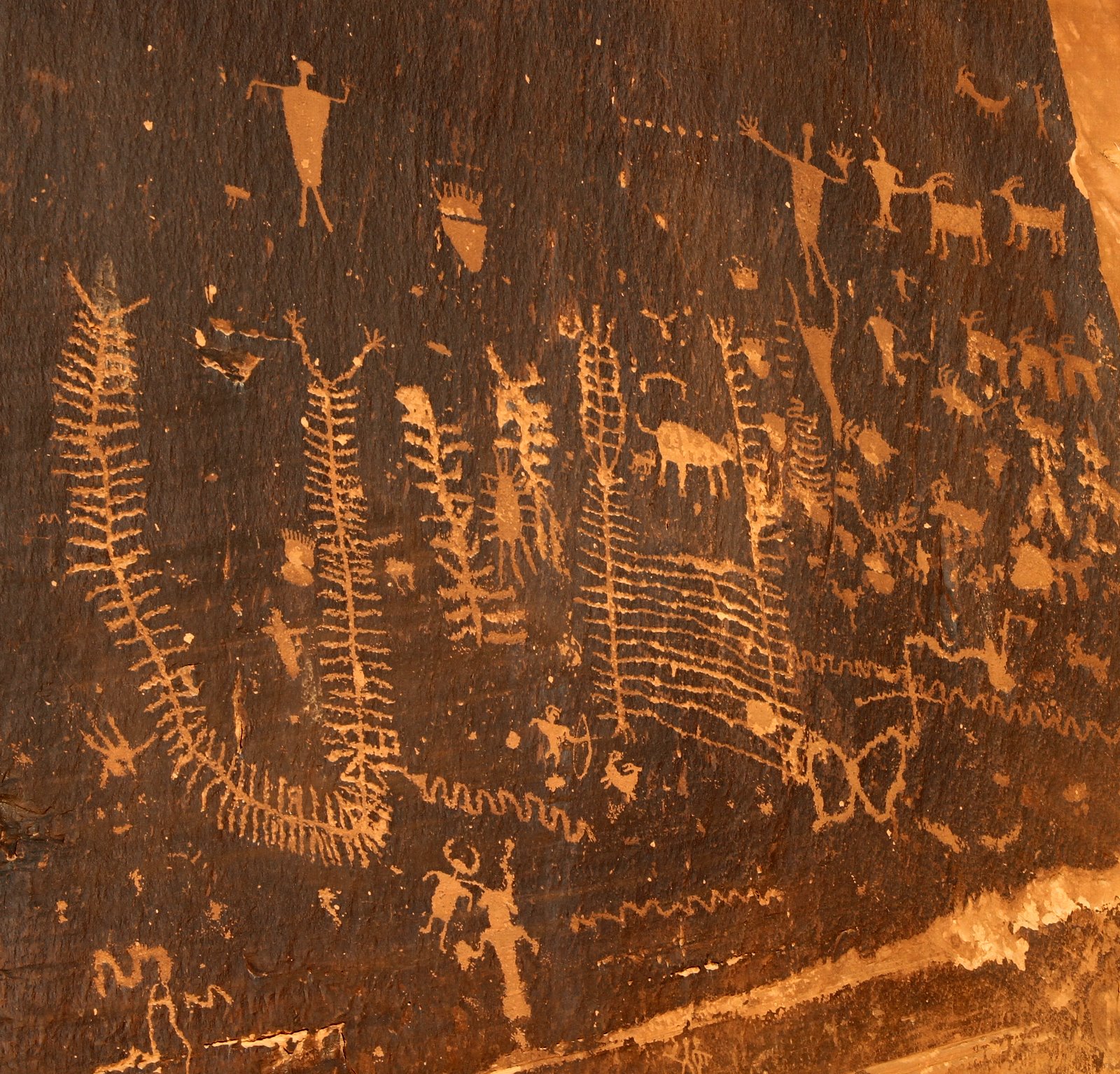 [2010-03-17+103621+419.JPG]