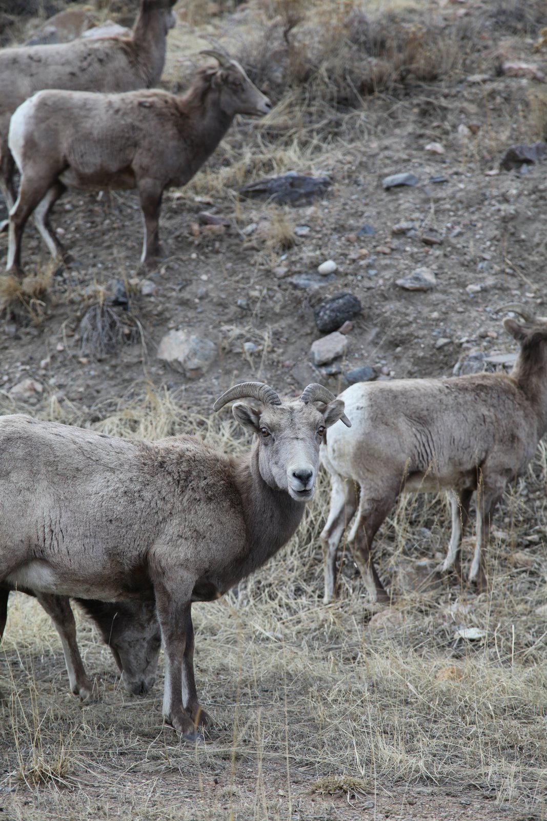 [2010-03-17+194740+254.JPG]