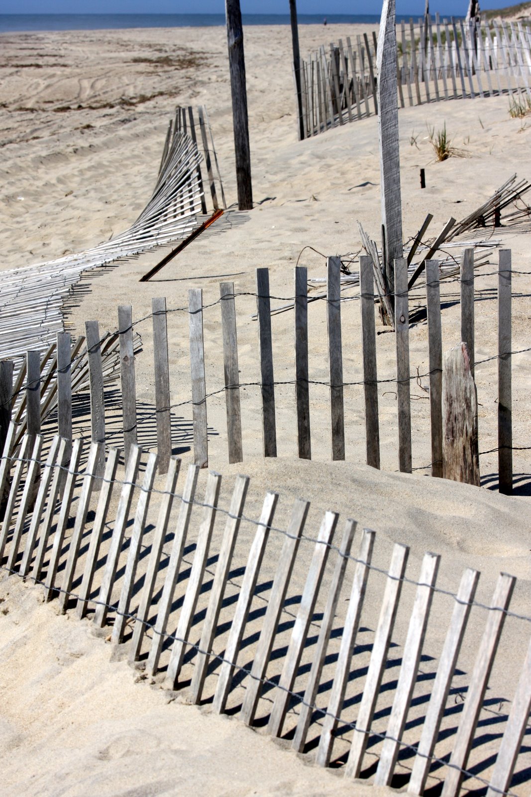 [2008-04-23+0929099.JPG]