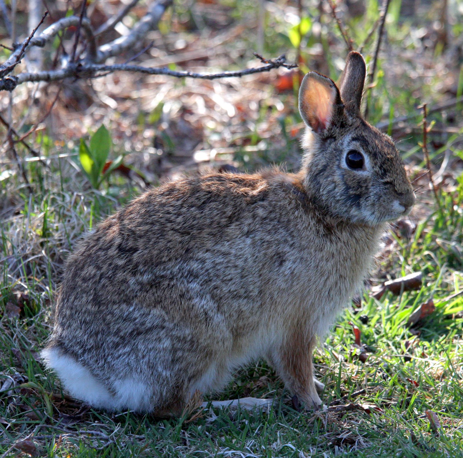 [2008-04-23+1603354.JPG]