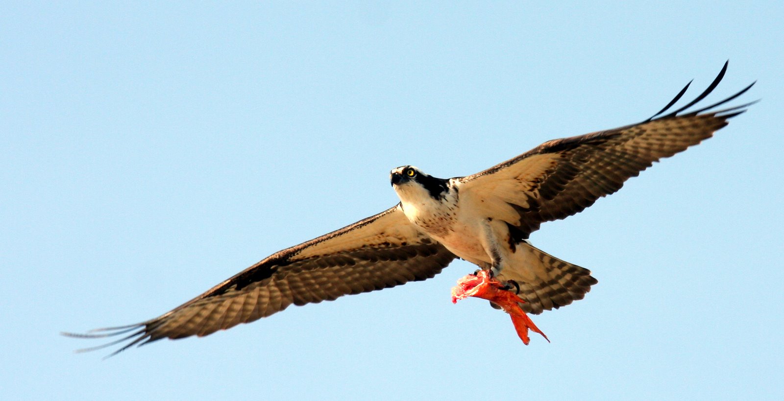 [2008-04-23+1540379.JPG]