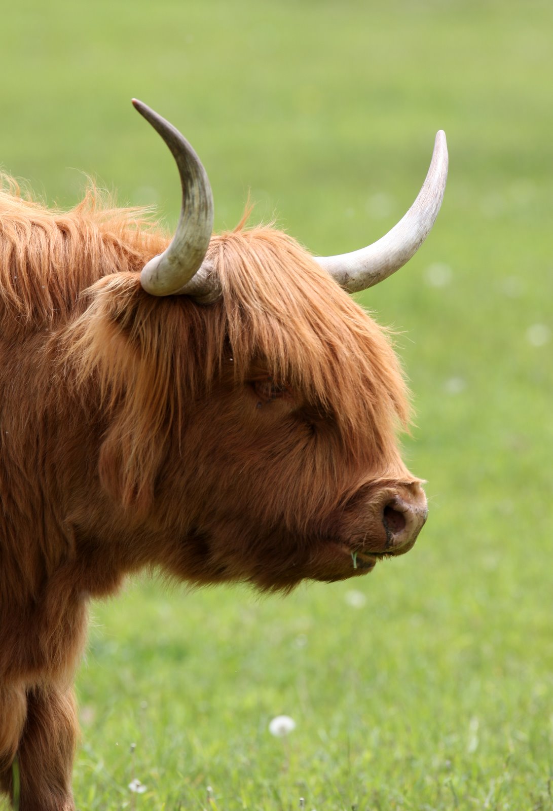 [2008-05-18+1119026.JPG]