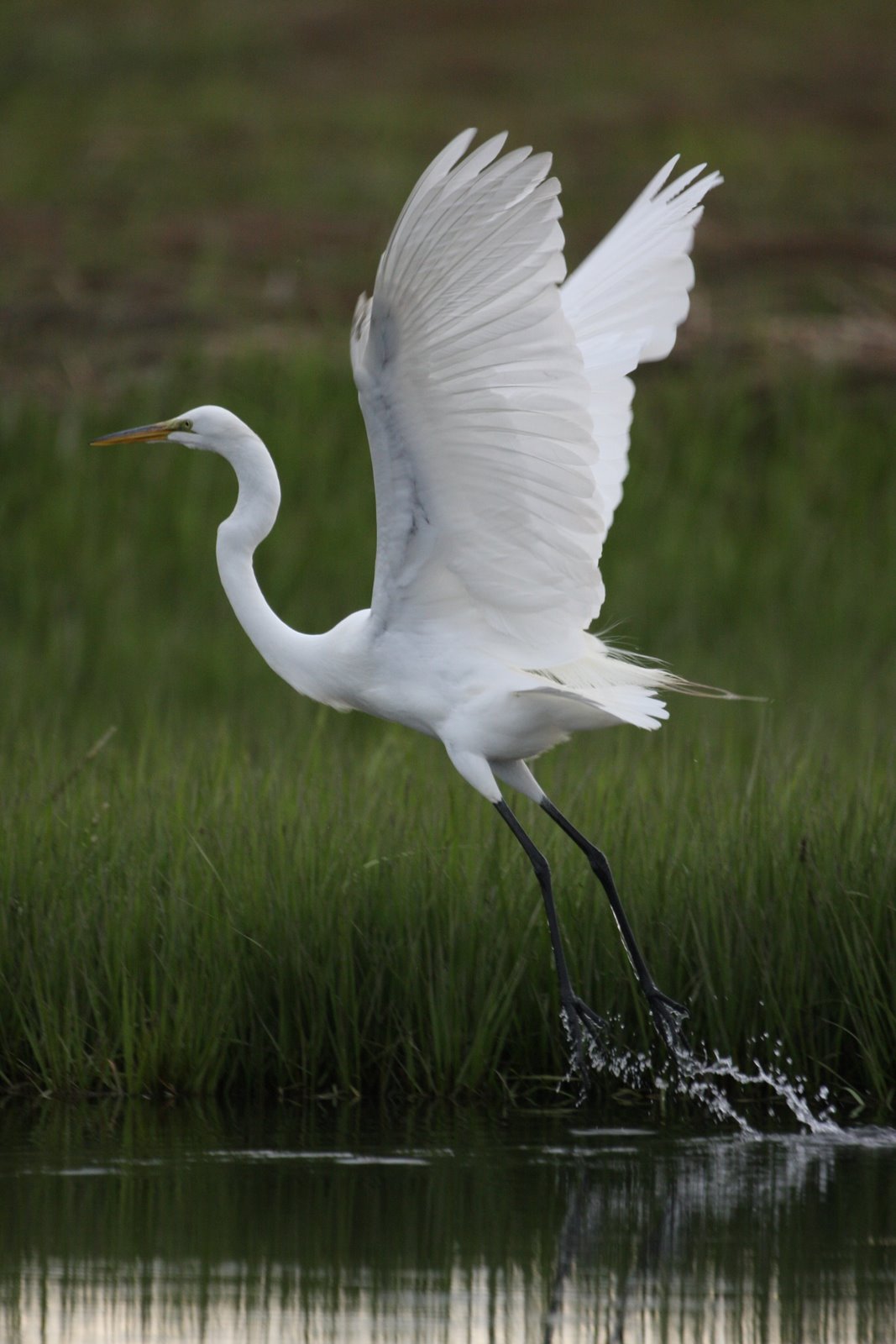 [2008-05-24+0535264.JPG]