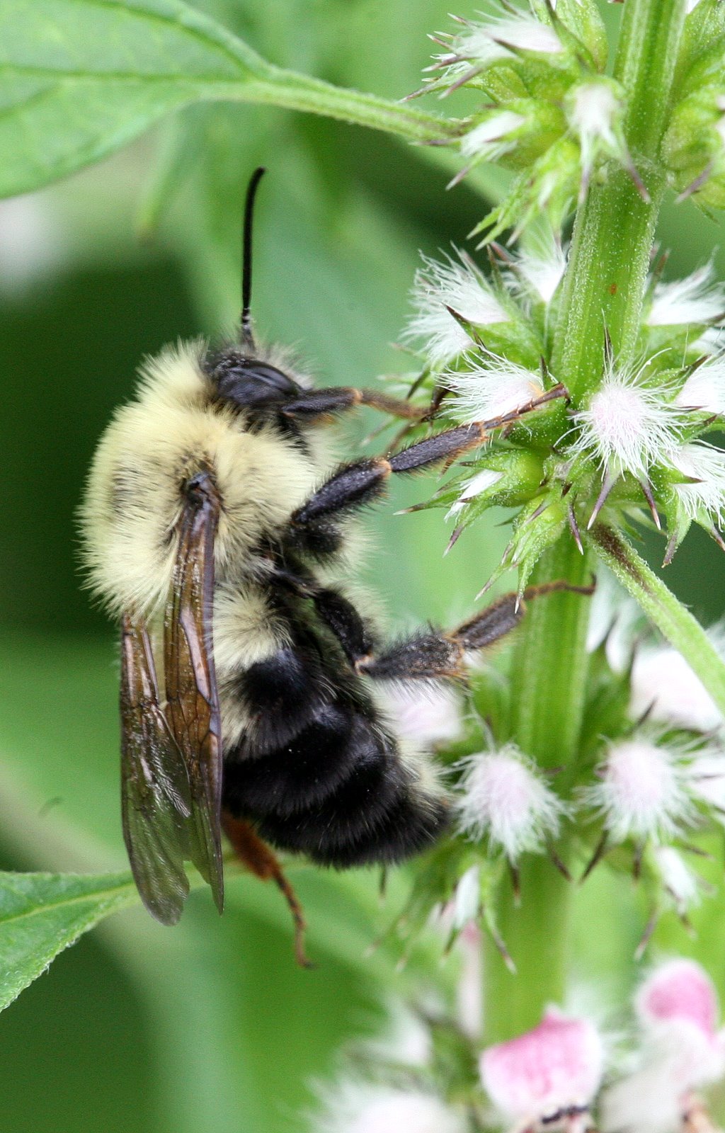 [2008-07-04+1915162.JPG]