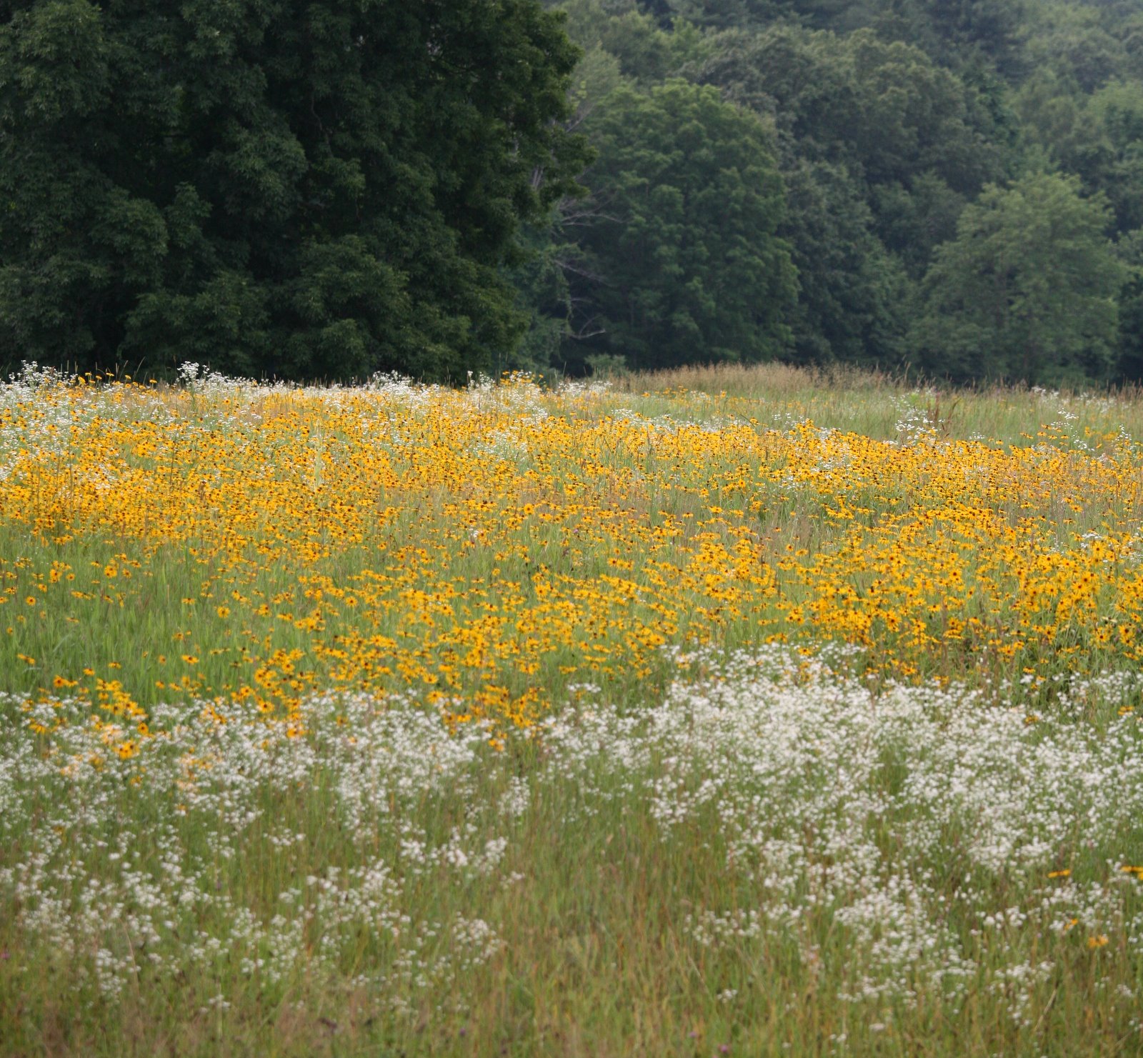 [2008-07-04+1748203.JPG]