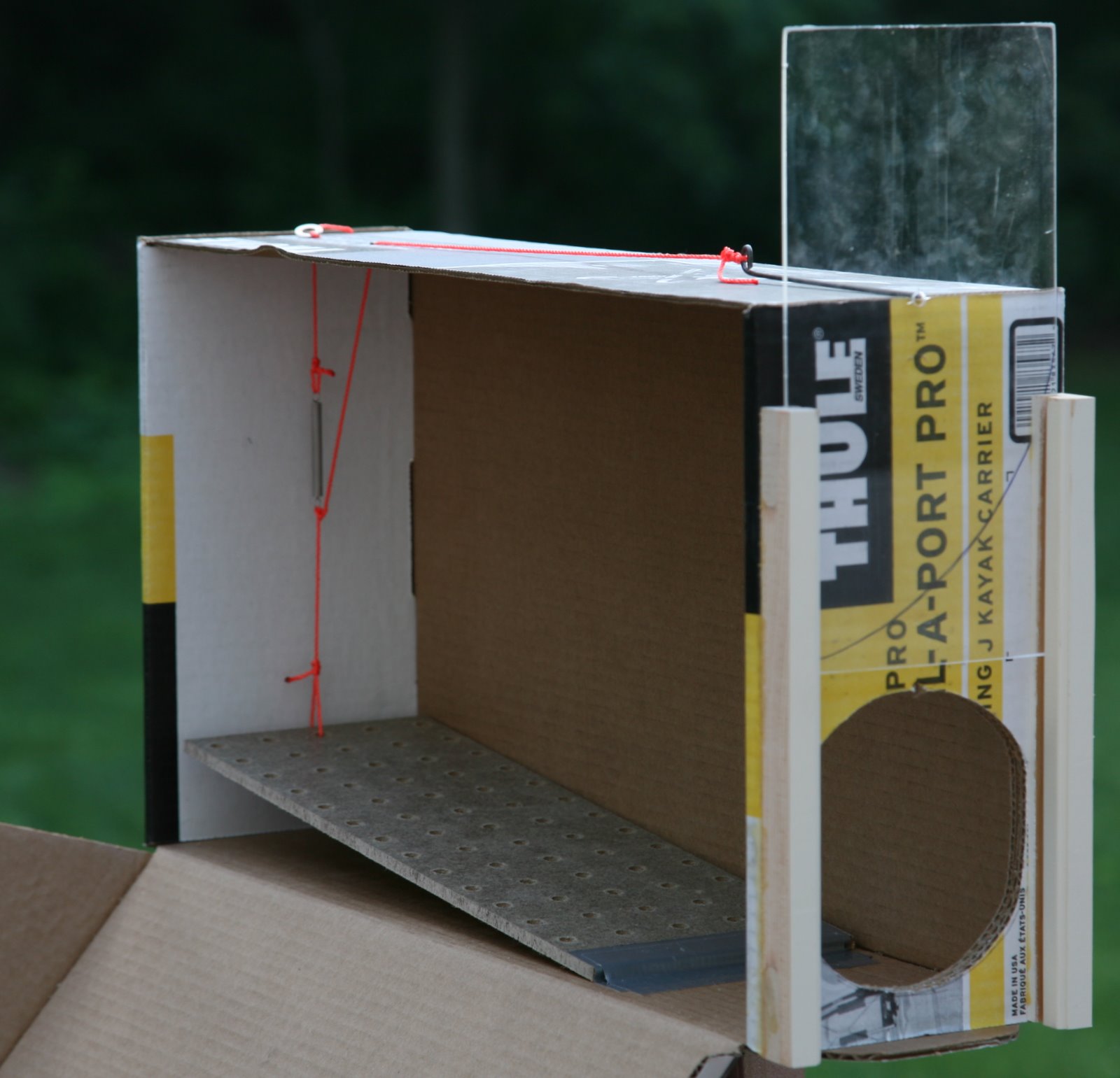 [2008-07-08+0632225.JPG]