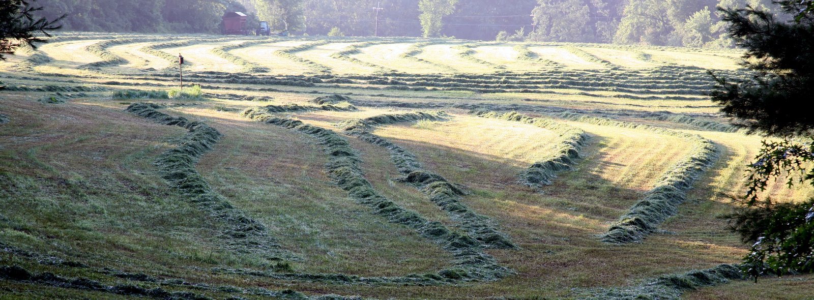 [2008-07-10+0631500.JPG]