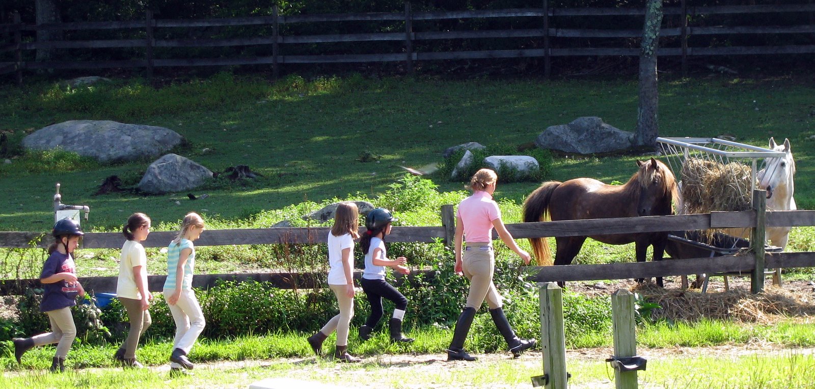 [2008-08-01+0930045.JPG]