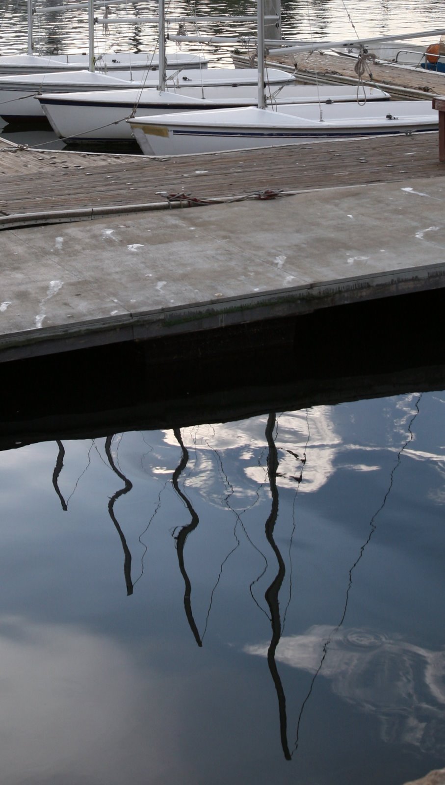 [2008-08-14+2137165.JPG]