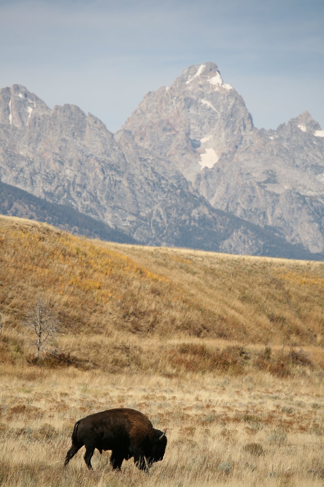 [2008-09-25+1549337.JPG]