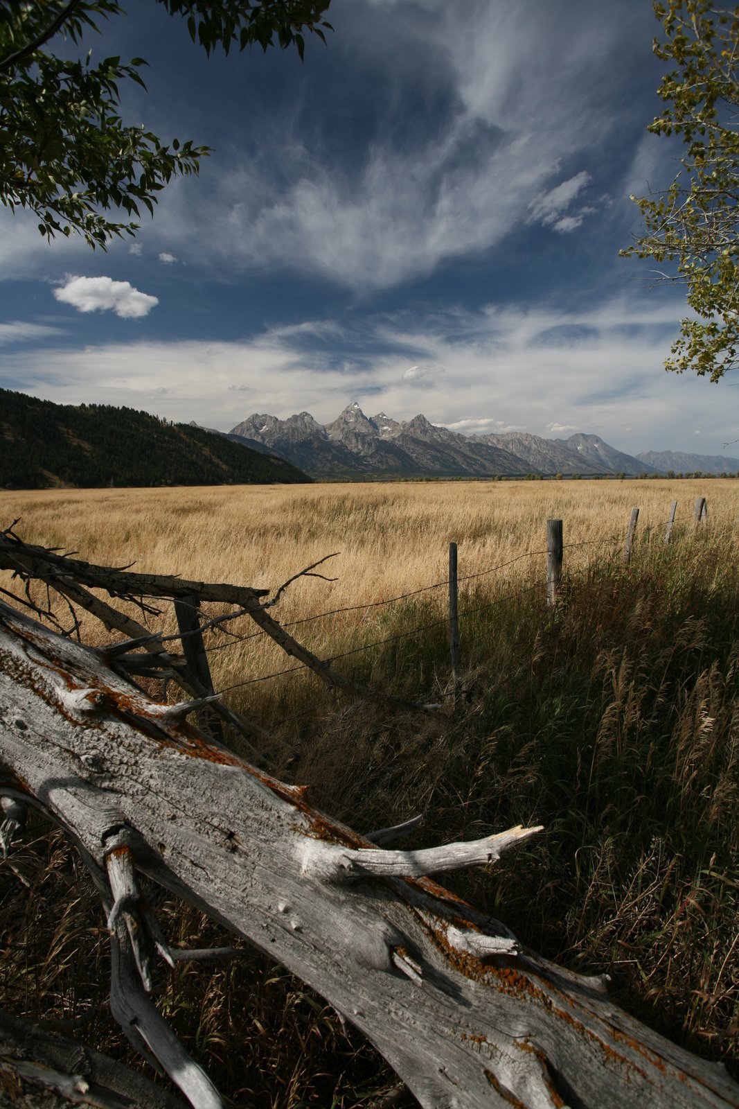 [2008-09-25+1632369.JPG]