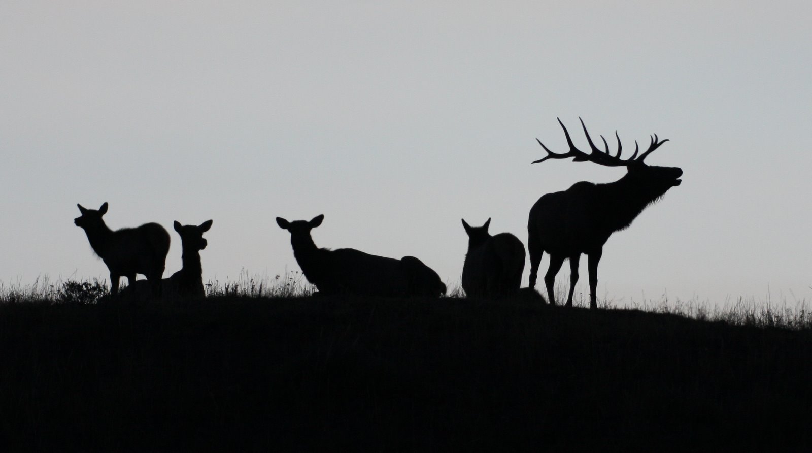 [2008-09-26+2013524.JPG]