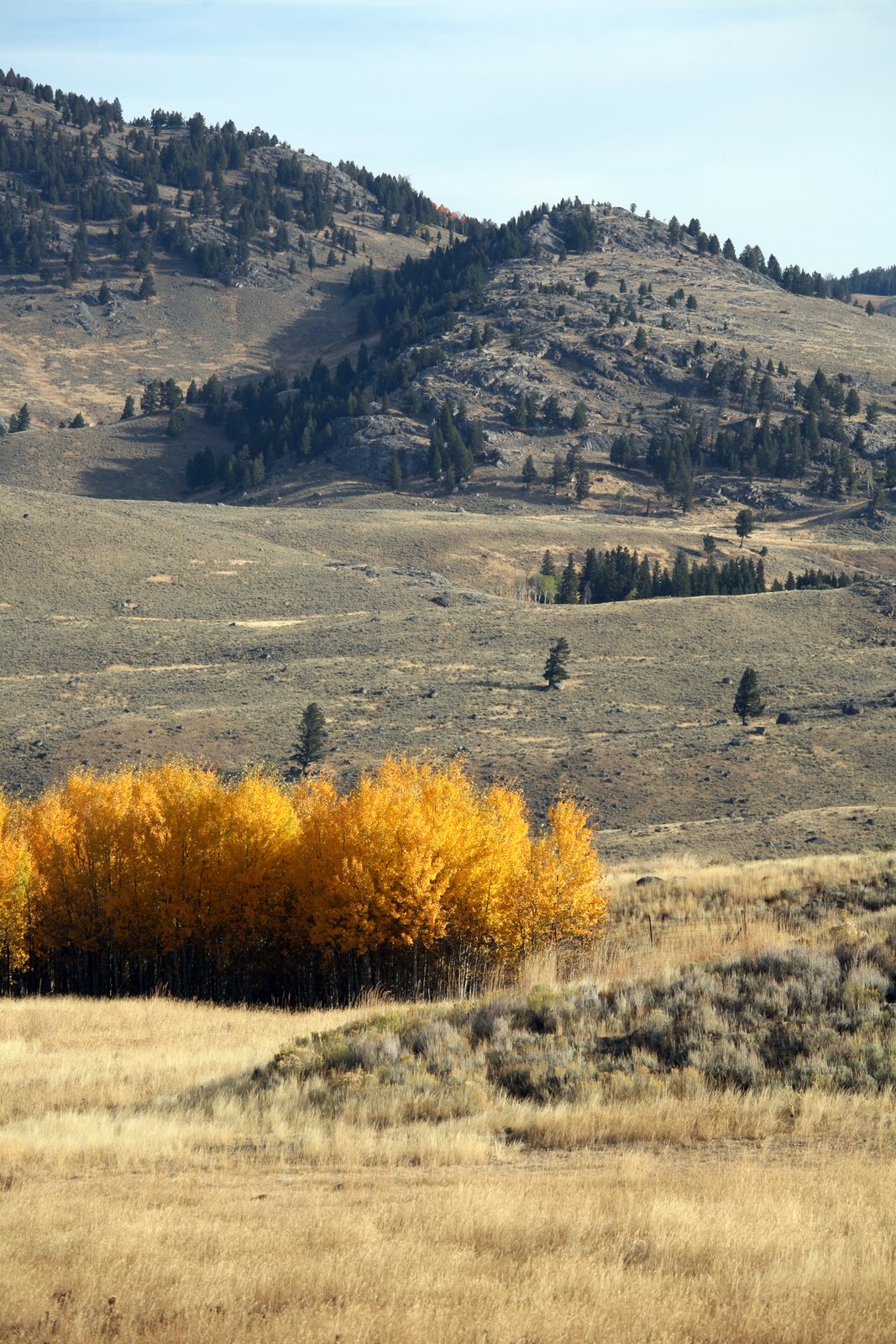 [2008-09-27+1102440.JPG]