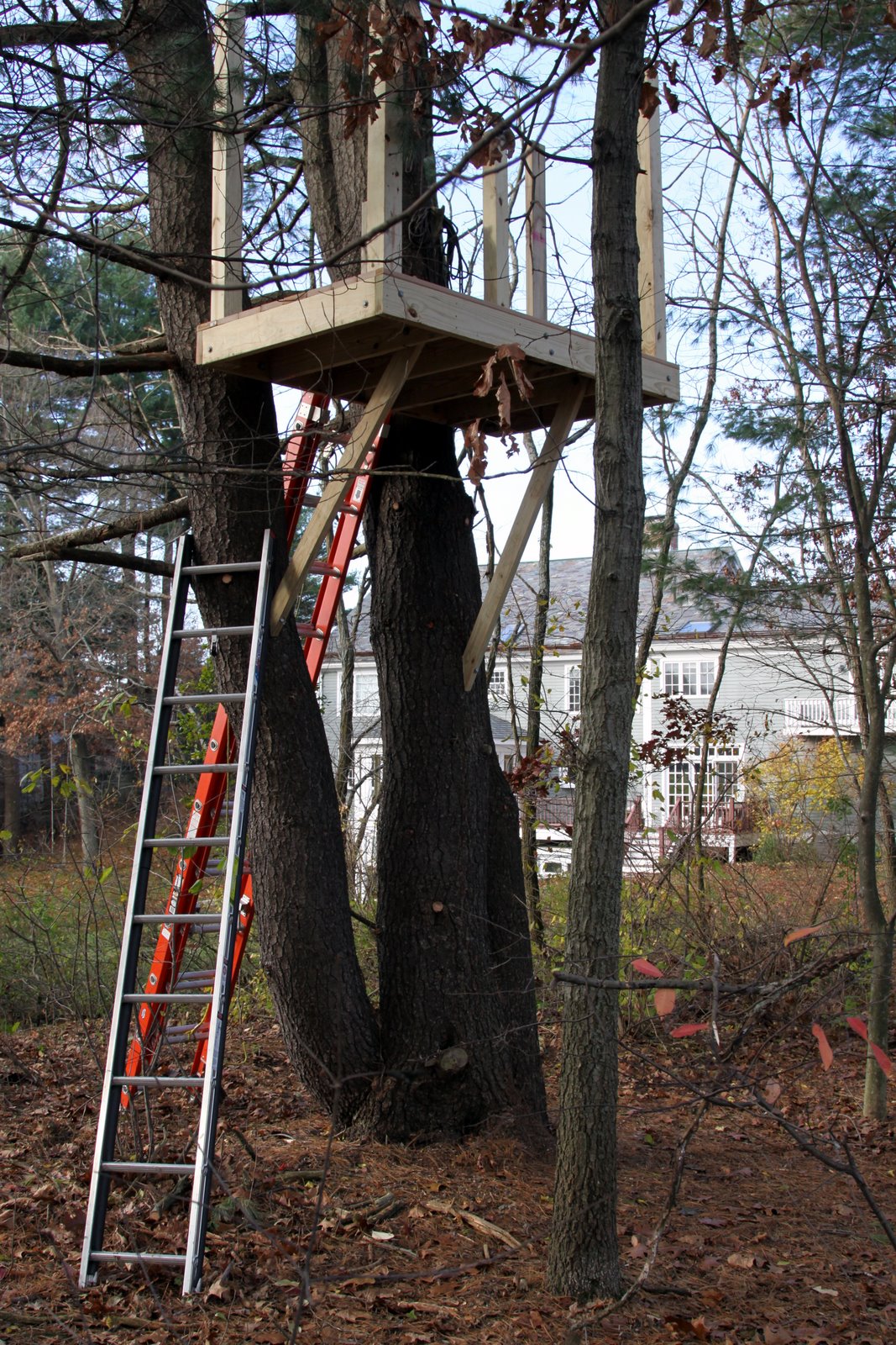 [2008-11-10+0833368.JPG]