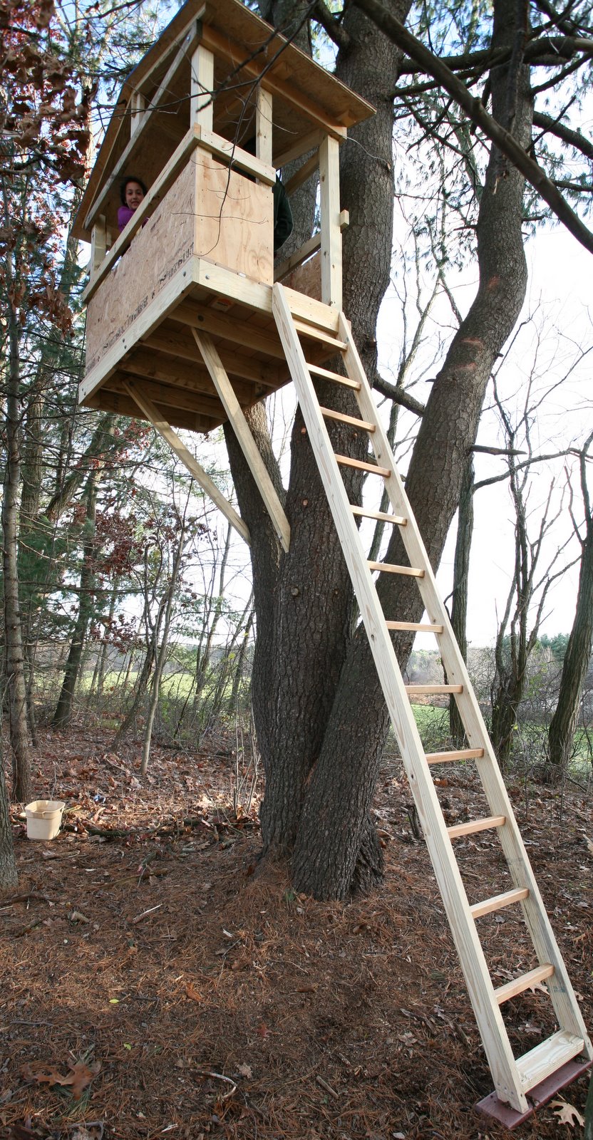 [2008-11-16+1439564.JPG]