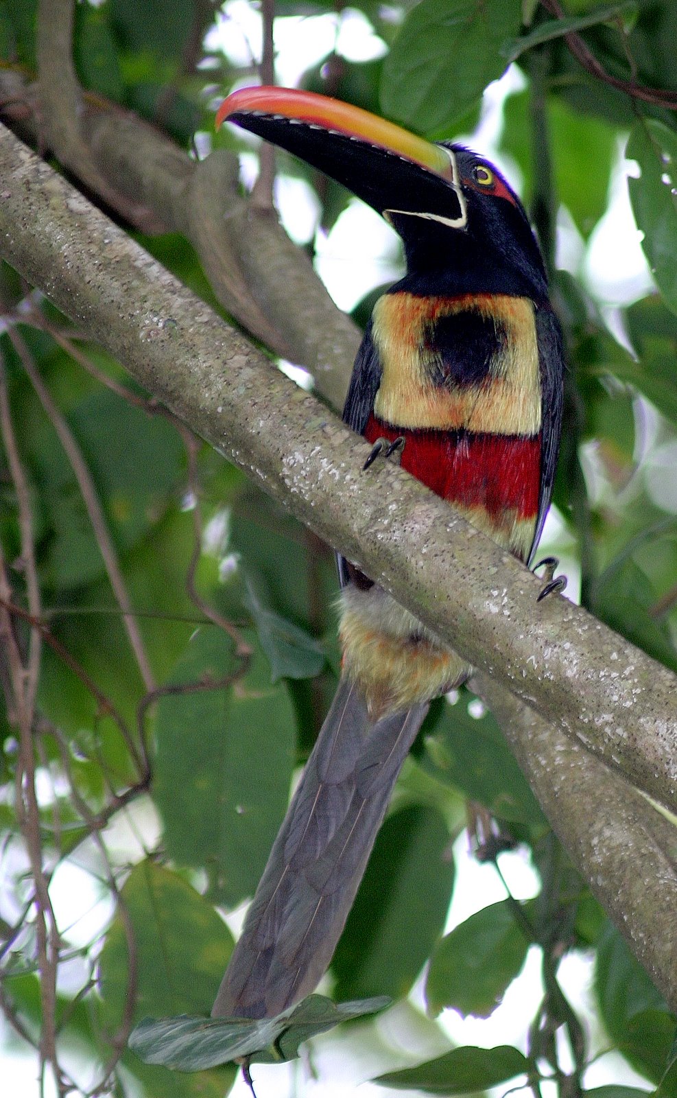 [COLLECTION+007.jpg]