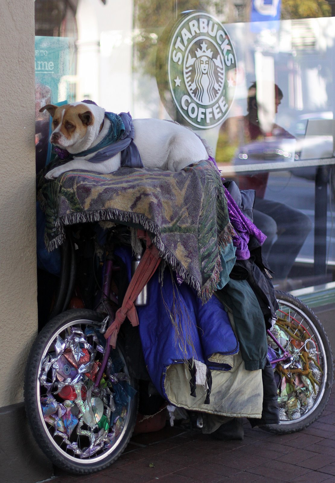 [2009+01+13_0144.JPG]