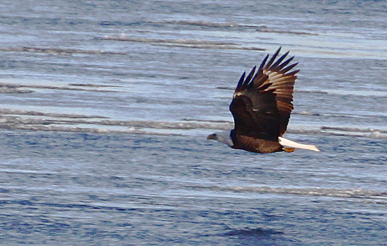 [2009-01-09+145957+4a.jpg]