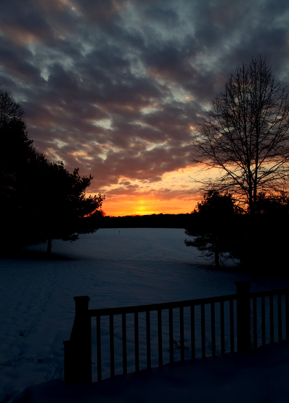 [2009-02-02+070531+4.JPG]