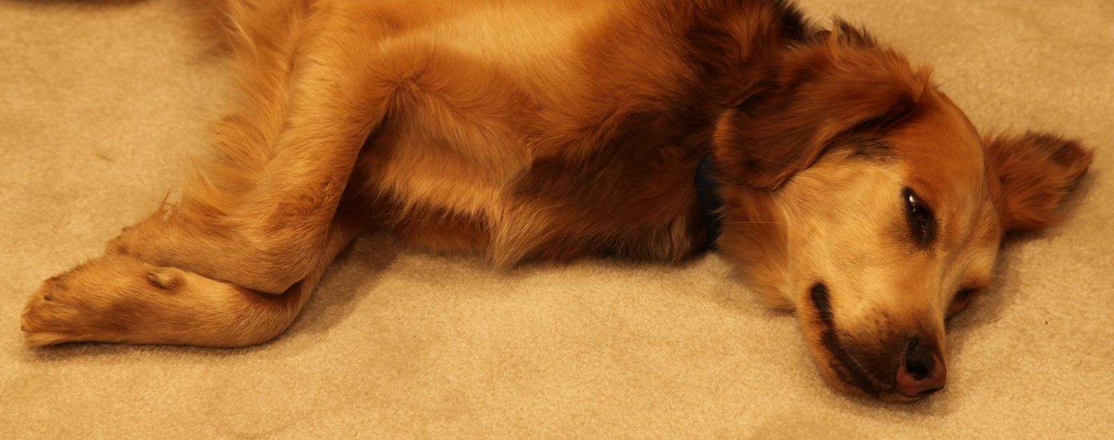 [2009-03-30+211807+5.JPG]